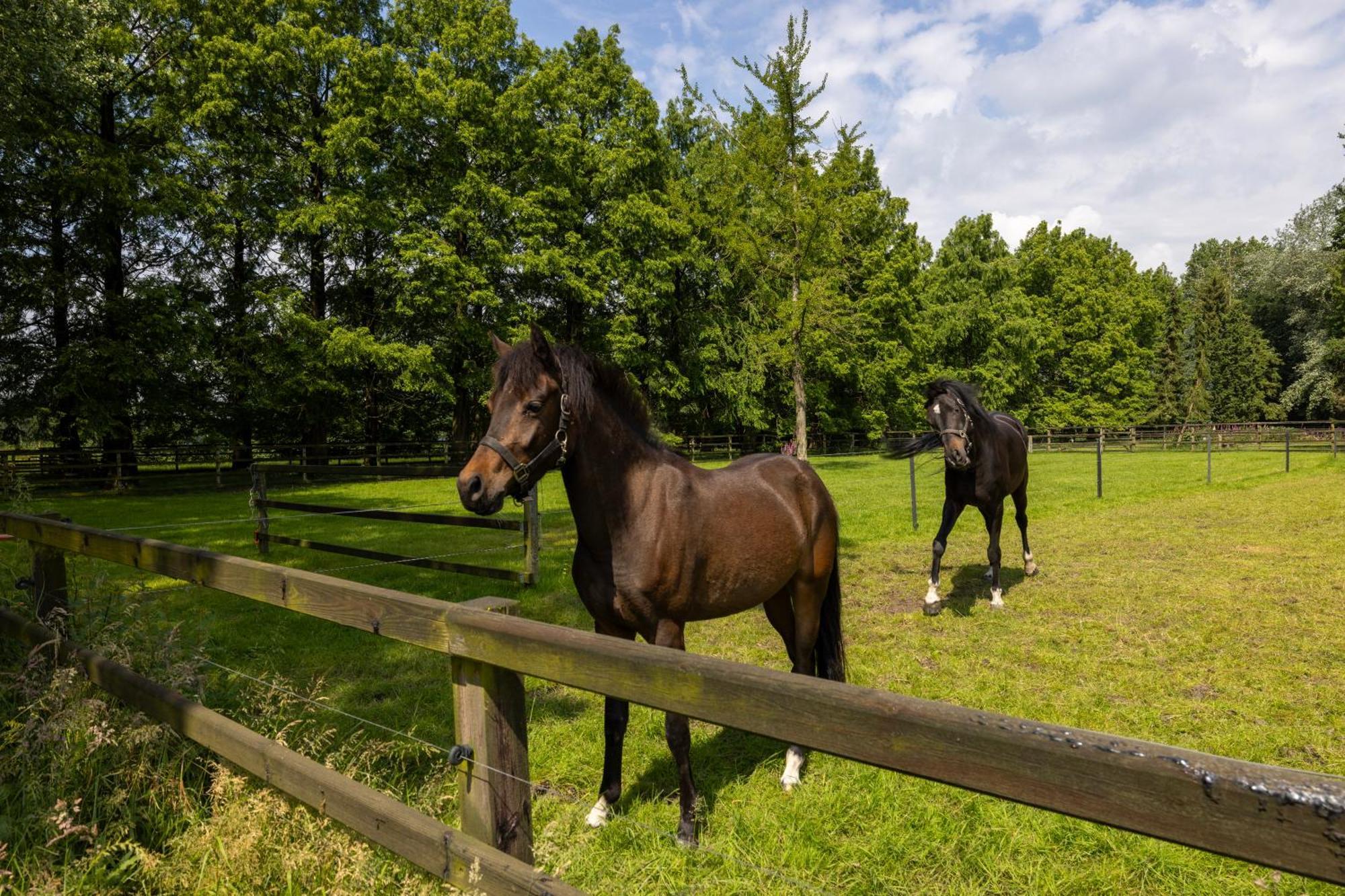 Luxe Hofstede Met Paardenstalling Lunteren Exteriör bild