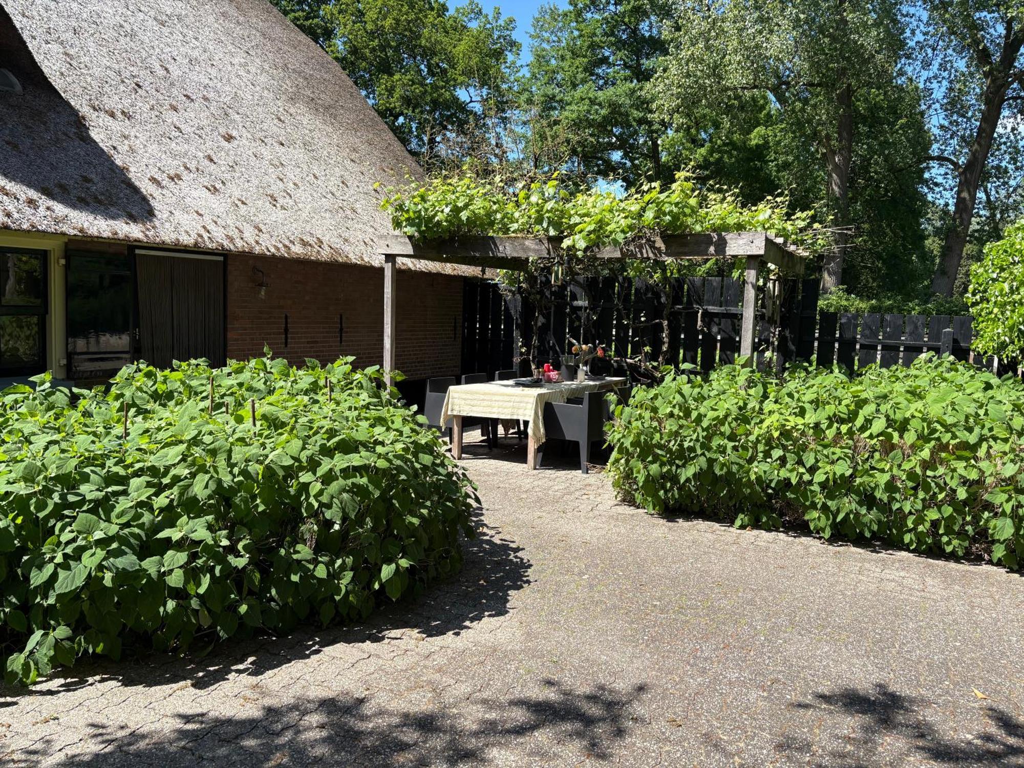 Luxe Hofstede Met Paardenstalling Lunteren Exteriör bild